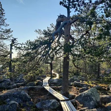 Aava Sky Village Aavasaksa