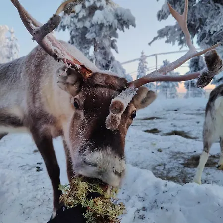 Chalet Aava Sky Village