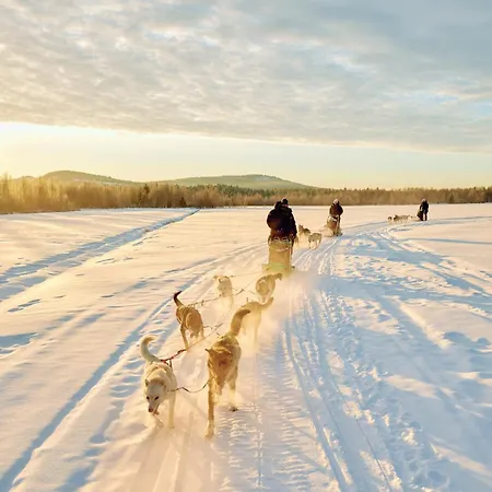 Aava Sky Village Lomamökit