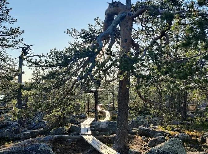 Aava Sky Village Aavasaksa