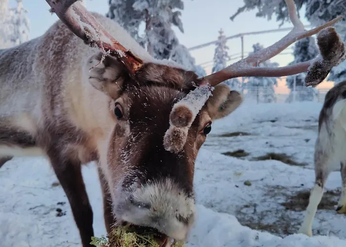Lomamökit Aava Sky Village