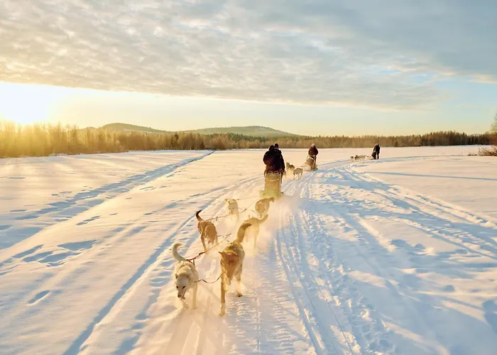 Aava Sky Village Lomamökit
